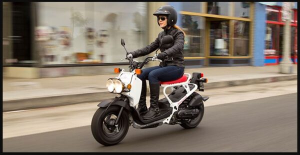 Honda Ruckus Scooter For Sale Price Top Speed Specs Review & Images