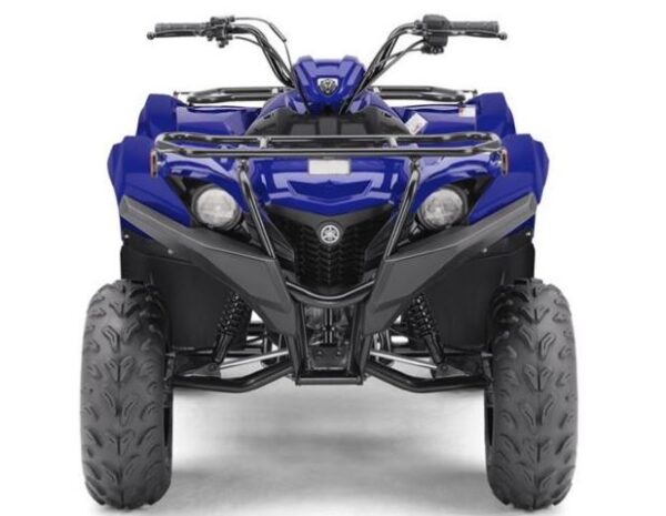 Yamaha GRIZZLY 90 Review