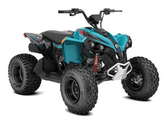 Can-Am Renegade 110 EFI Specs, Price, Top Speed, Horsepower, Review