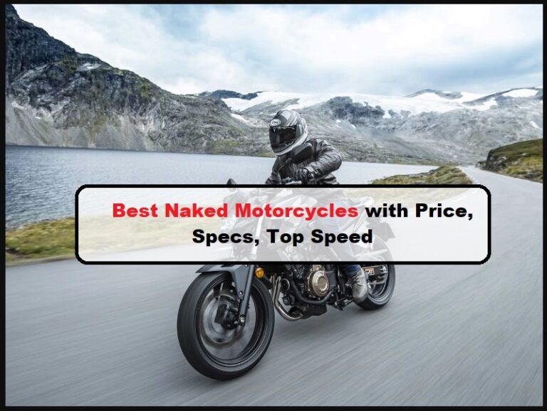 Best Naked Motorcycles with Price, Specs, Top Speed [2024]